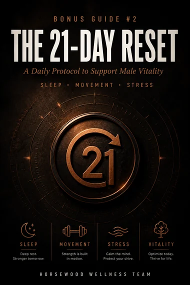The 21-Day Reset digital bonus guide